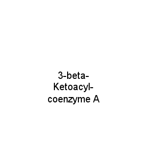 3-beta-Ketoacyl-coenzyme A